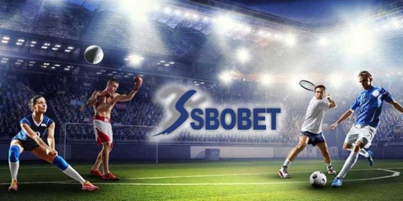 SBOBET 33Win: Sảnh cược thể thao không thể bỏ lỡ