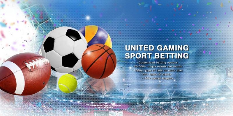 United Gaming 33Win: Cách đặt cược và đặc trưng nổi bật